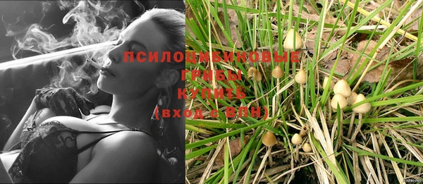 гашик Верхнеуральск