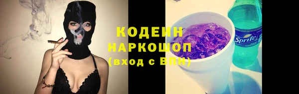 ПСИЛОЦИБИНОВЫЕ ГРИБЫ Верея