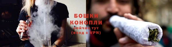 ПСИЛОЦИБИНОВЫЕ ГРИБЫ Верея