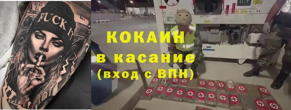 ПСИЛОЦИБИНОВЫЕ ГРИБЫ Верея